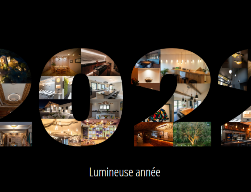 • LUMINEUSE ANNÉE 2022 •